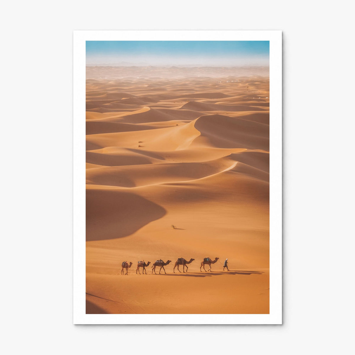 Camel Caravan Photo Poster, print only (unframed), white border