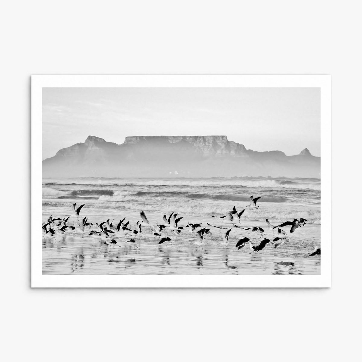 Cape Town Photo Poster, print only (unframed), white border