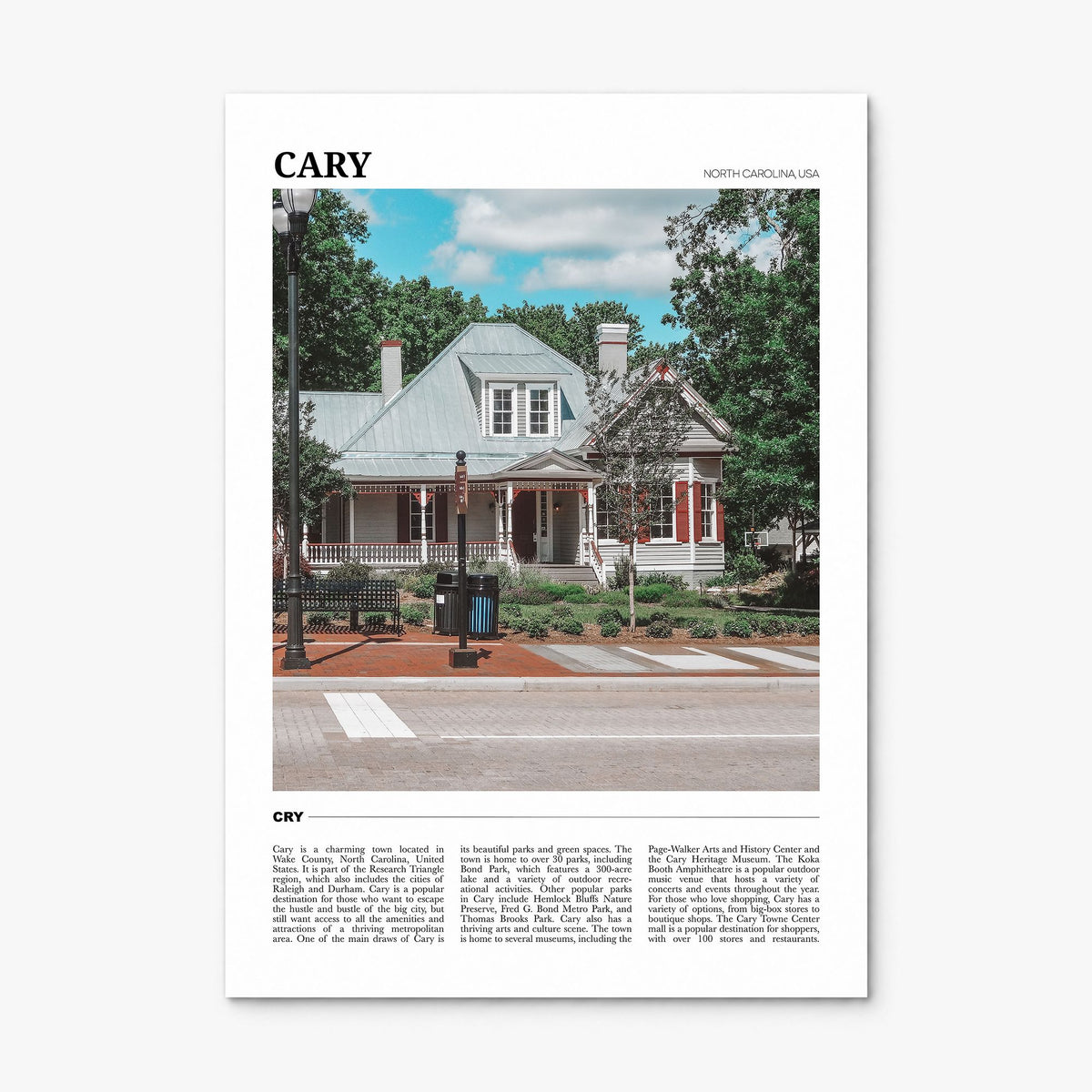 Cary Travel Poster, print only (unframed)