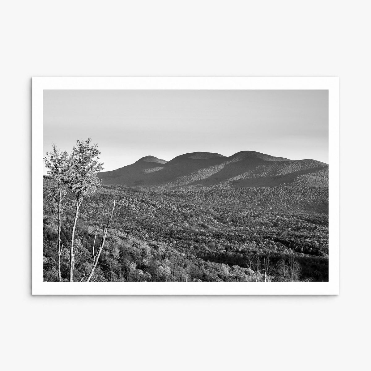 Catskill Mountains Photo Poster, print only (unframed), white border
