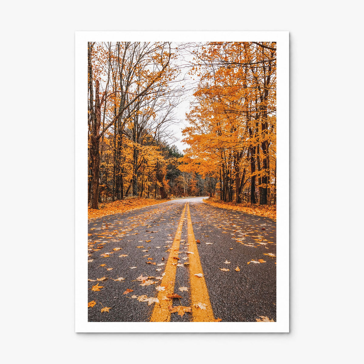 Catskill Mountains Photo No 3 Poster, print only (unframed), white border