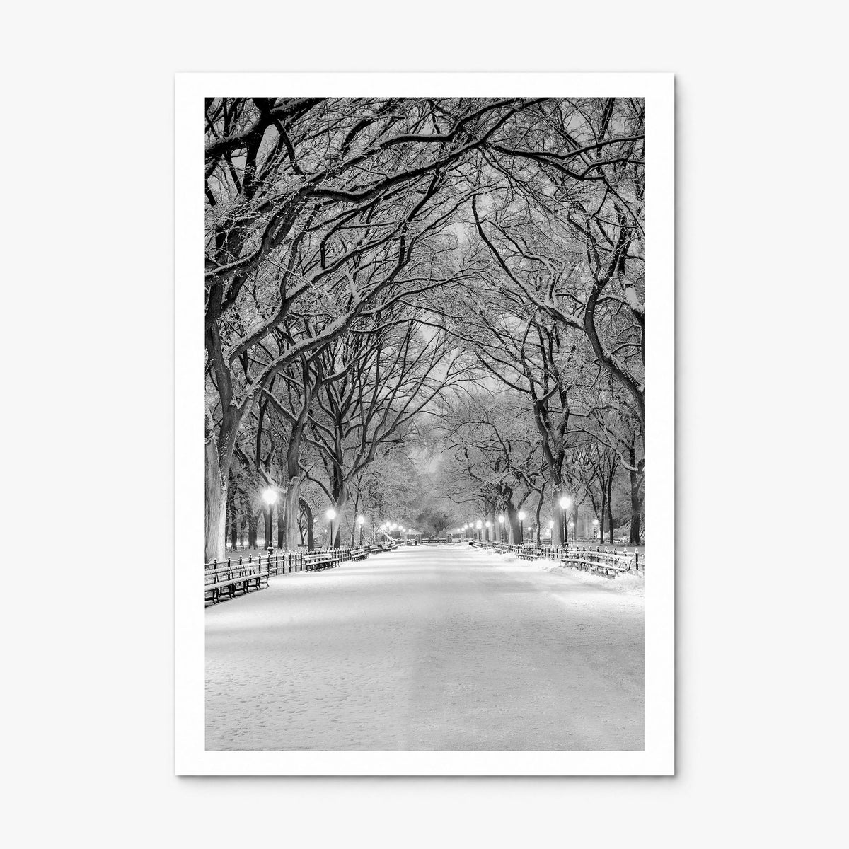 Central Park Photo No 3 Poster, print only (unframed), white border