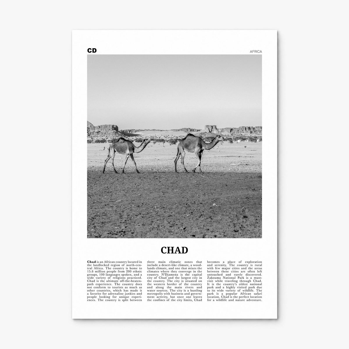 Chad Newspaper Poster, print only (unframed)