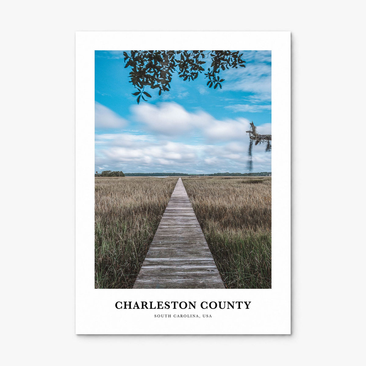 Charleston County Classic Poster, print only (unframed)