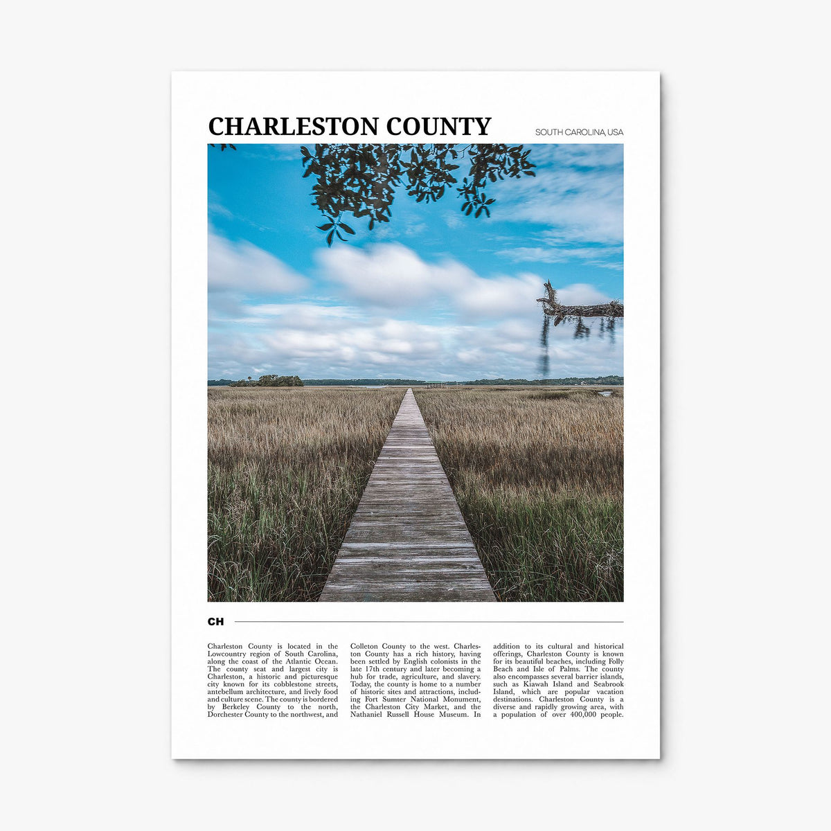 Charleston County Travel Poster, print only (unframed)
