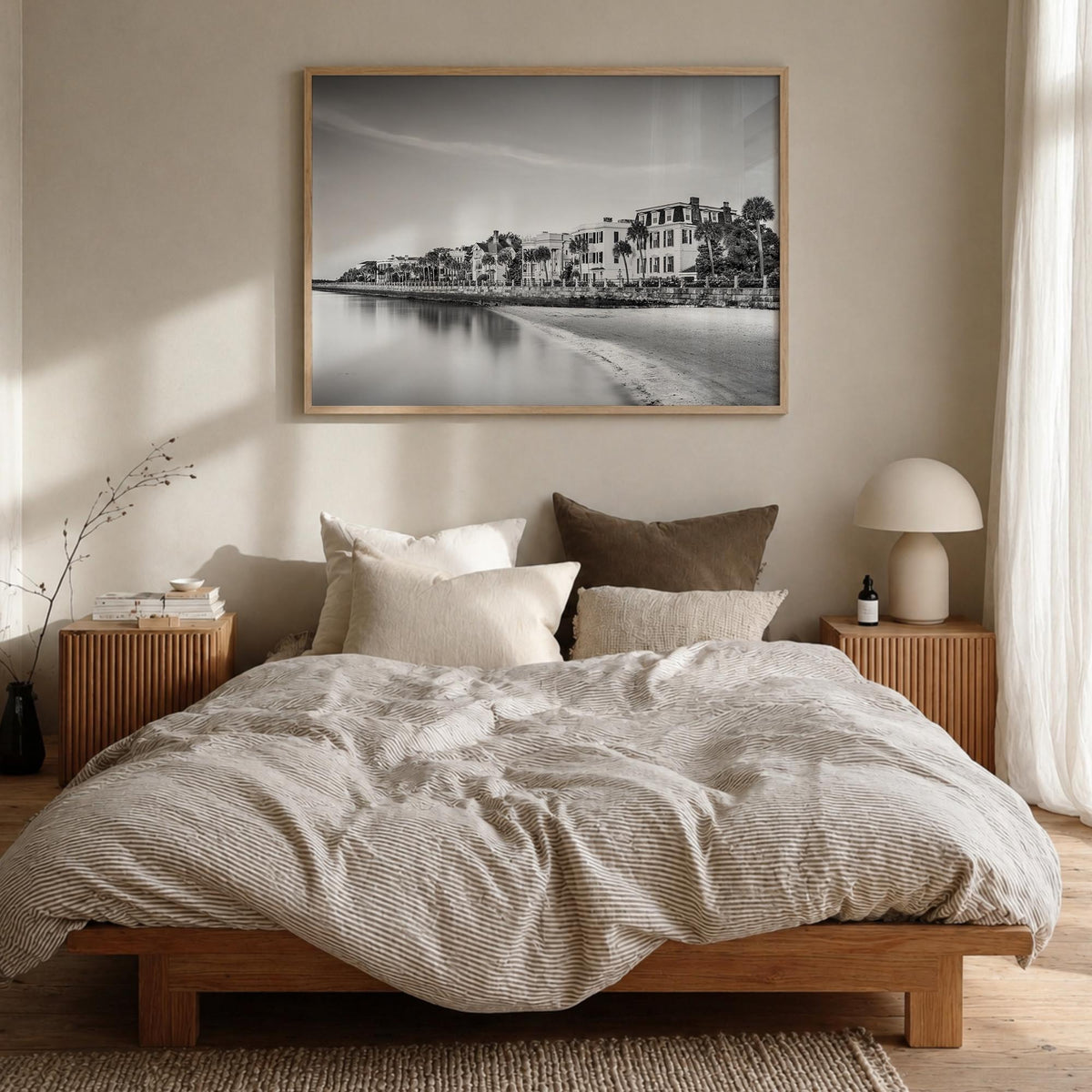 Charleston, South Carolina Photo Poster