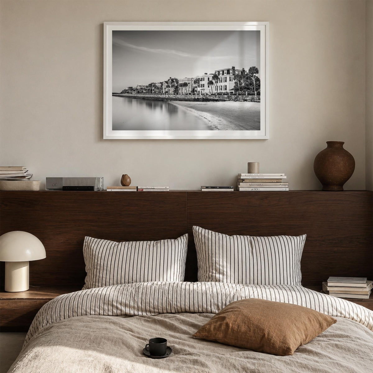 Charleston, South Carolina Photo Poster