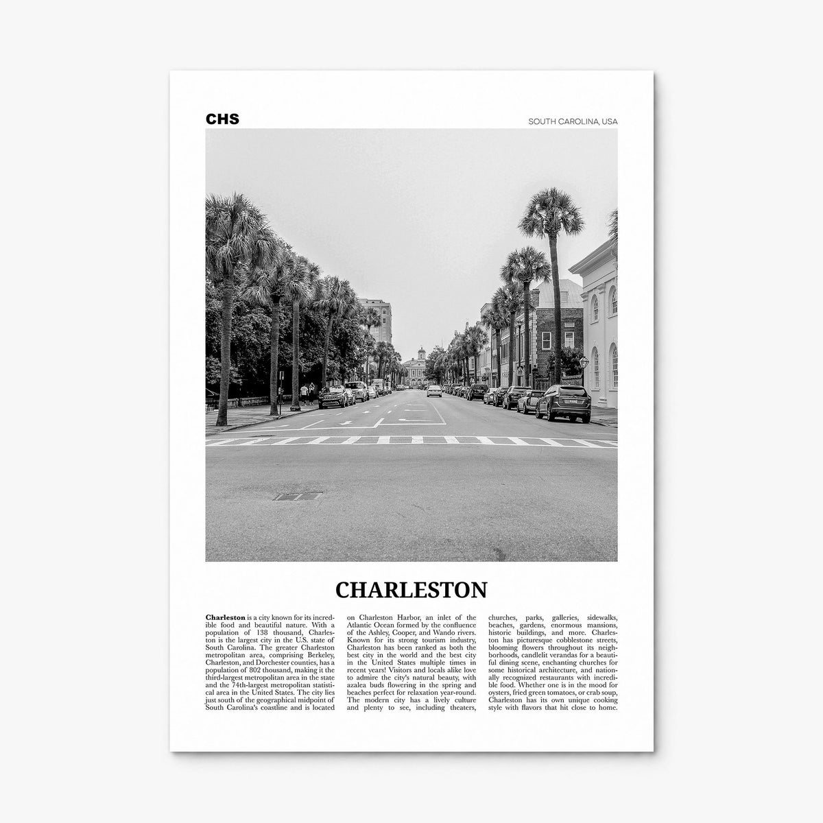 Charleston, South Carolina Newspaper No 2 Poster, print only (unframed)