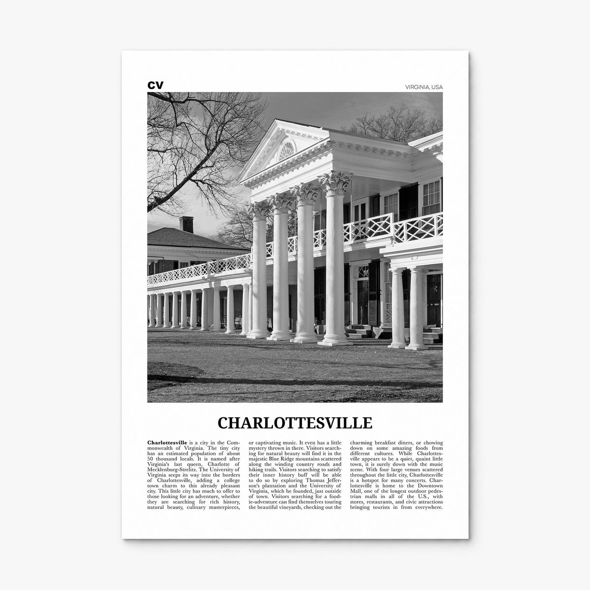 Charlottesville Newspaper No 2 Poster, print only (unframed)
