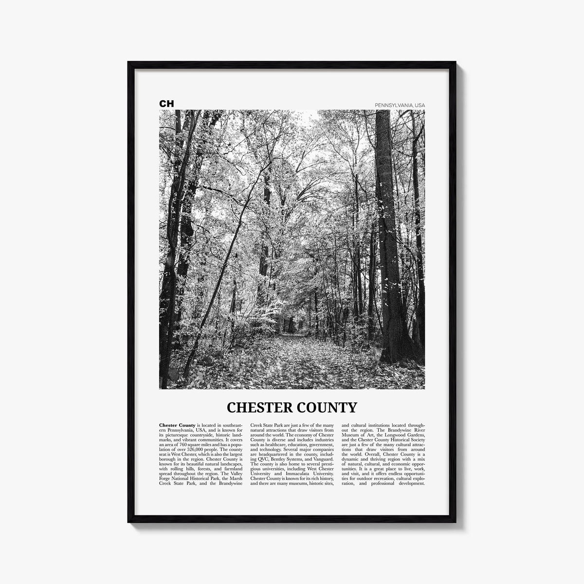 Chester County black & white newspaper poster of Pennsylvania, USA – vertical wall art, unframed print shown in interior mock