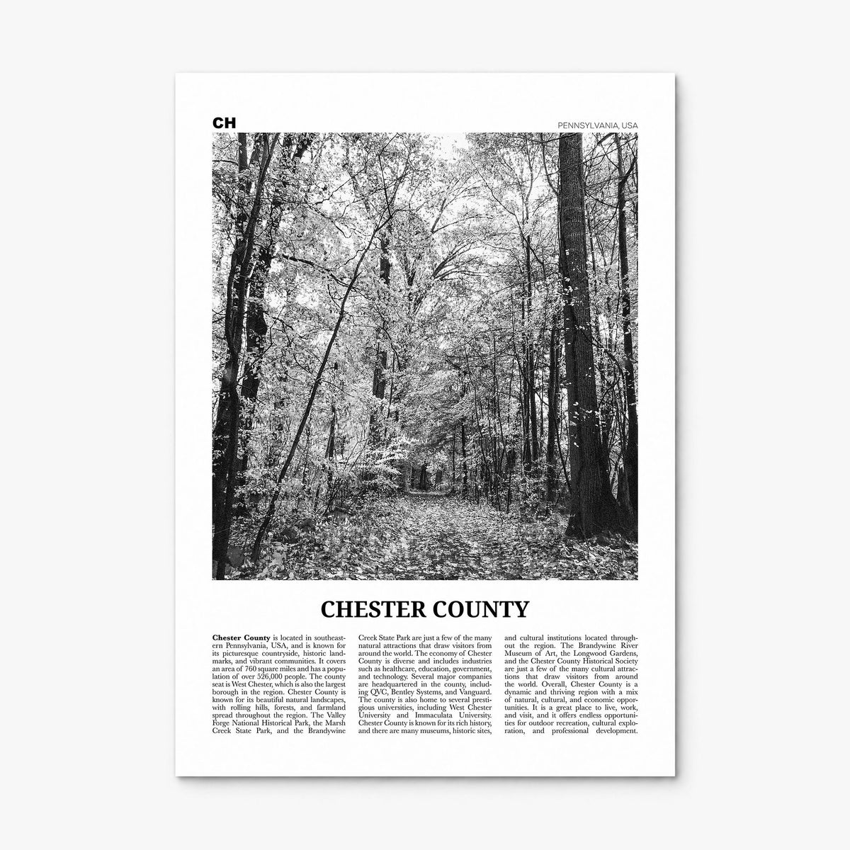 Chester County Newspaper Poster, print only (unframed)