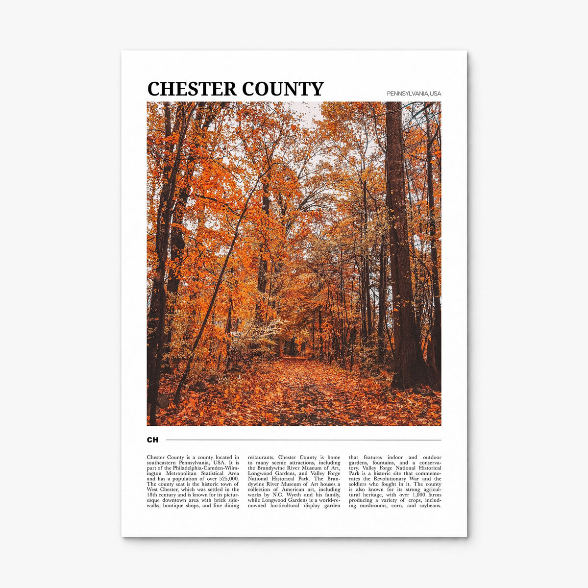 Chester County Travel Poster, print only (unframed)