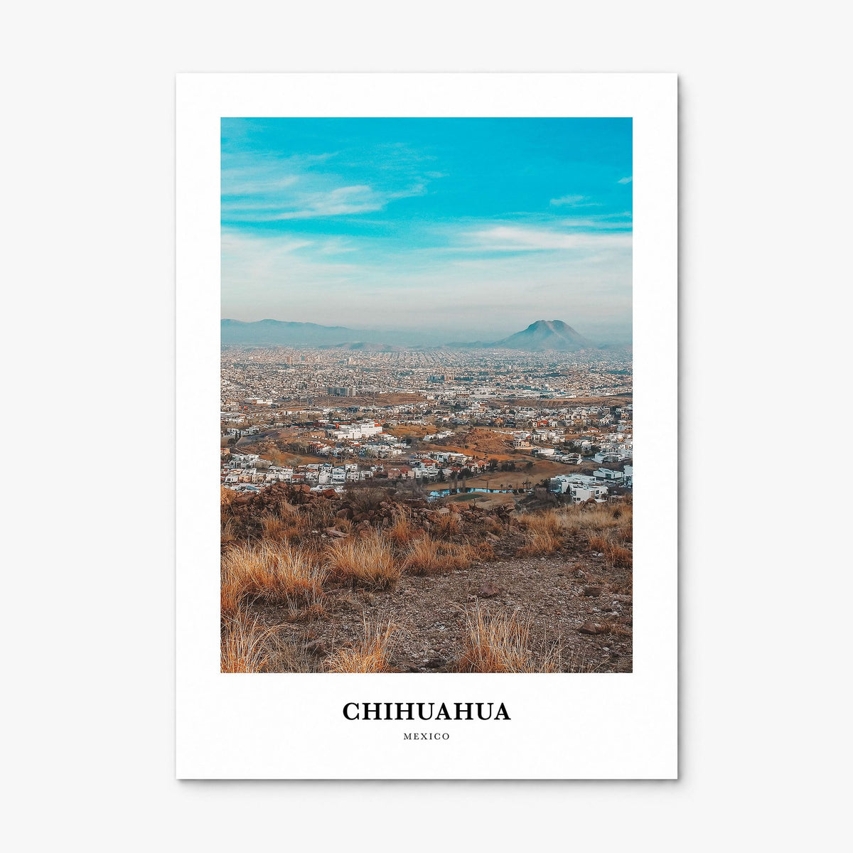 Chihuahua Classic Poster, print only (unframed)