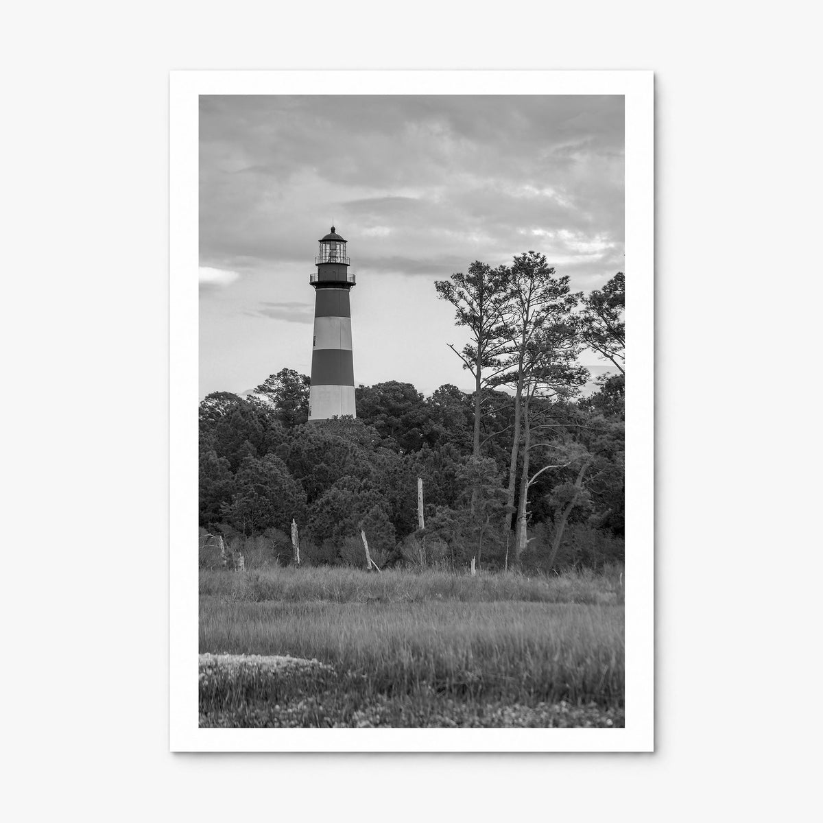Chincoteague Photo Poster, print only (unframed), white border