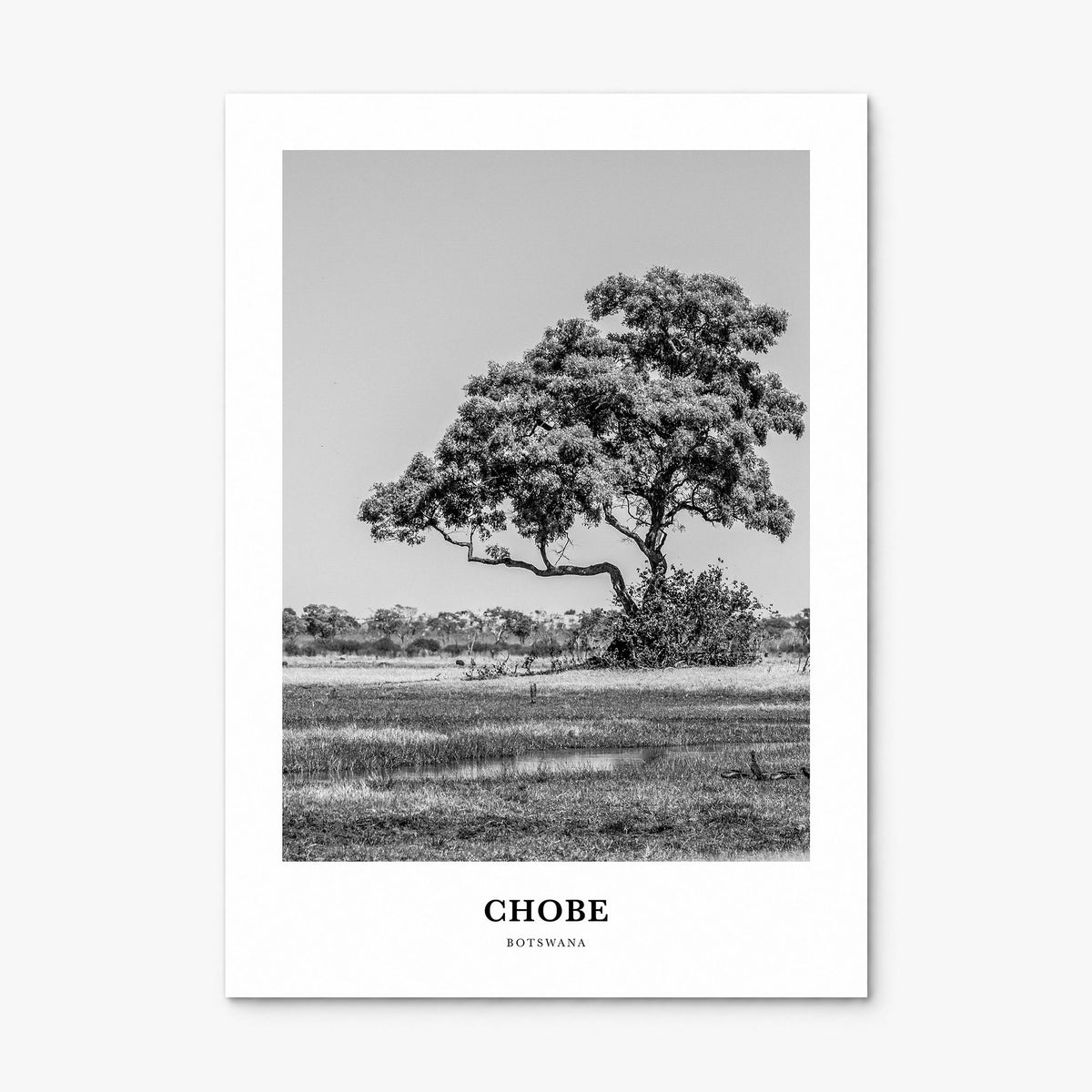 Chobe National Park Classic Poster, print only (unframed)
