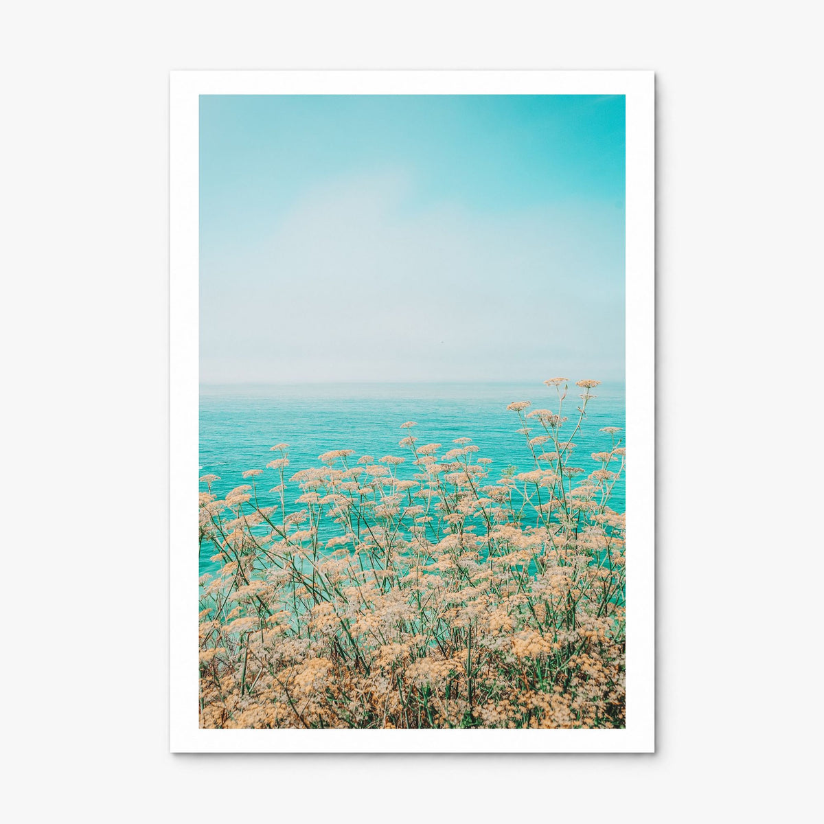 Clear Sky Yellow Flowers Photo Poster, print only (unframed), white border