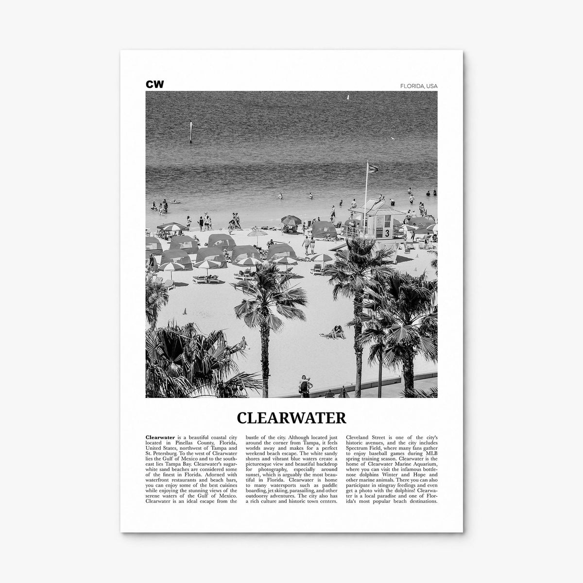 Clearwater Newspaper Poster, print only (unframed)