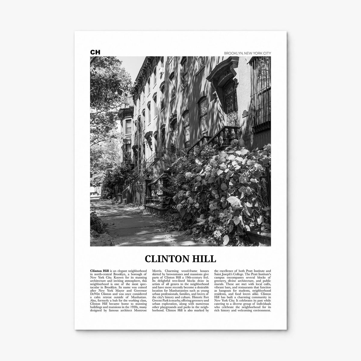 Clinton Hill Newspaper Poster, print only (unframed)