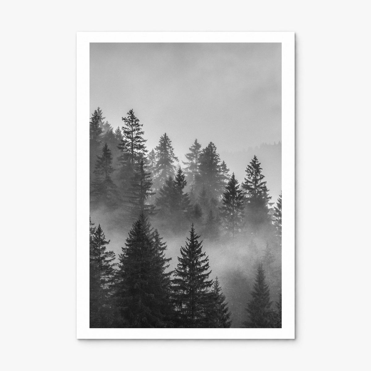 Cloudy Forest Photo No 2 Poster, print only (unframed), white border