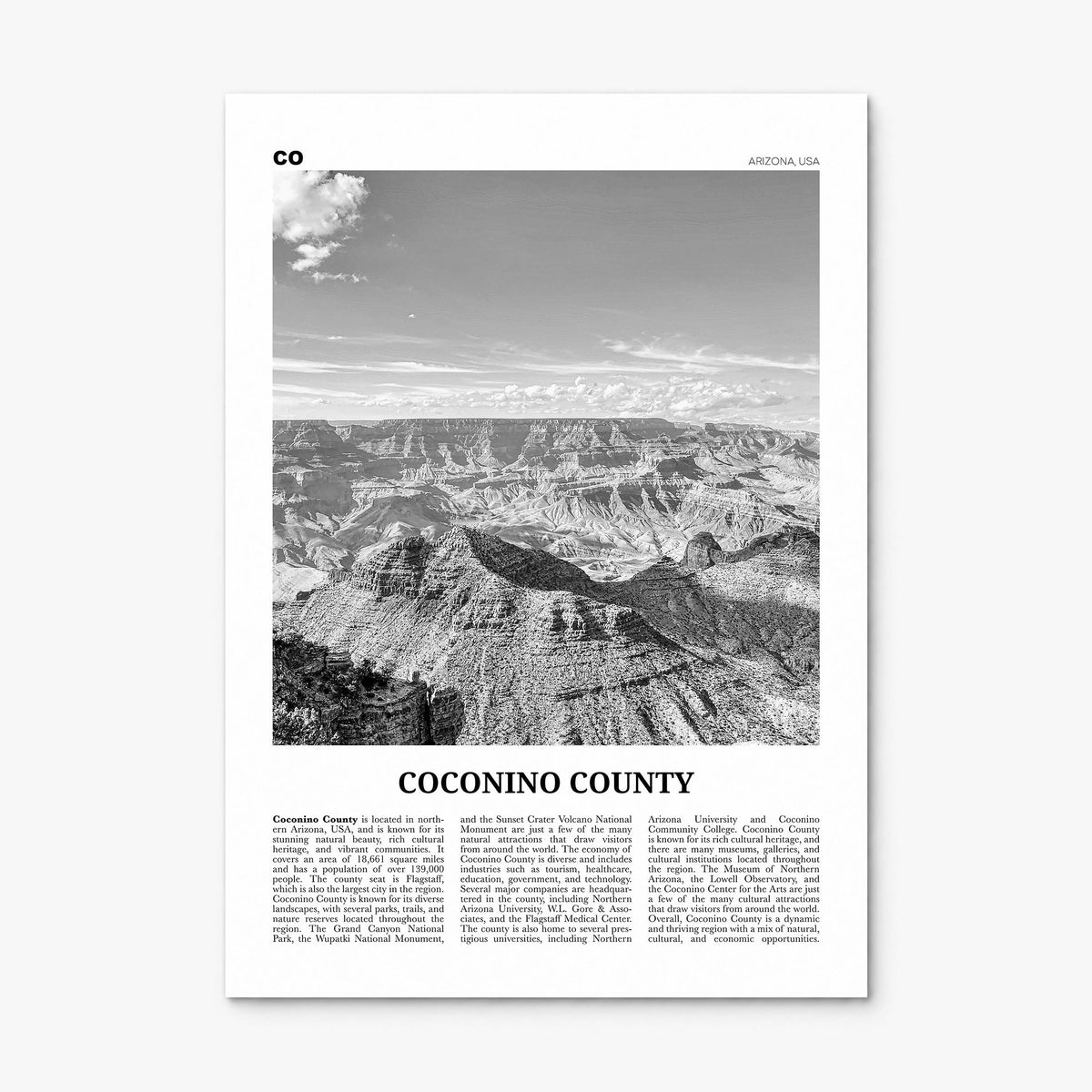 Coconino County Newspaper Poster, print only (unframed)