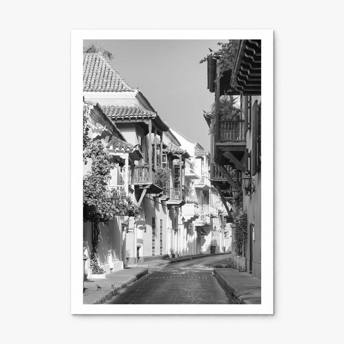 Colombia Photo Poster, print only (unframed), white border