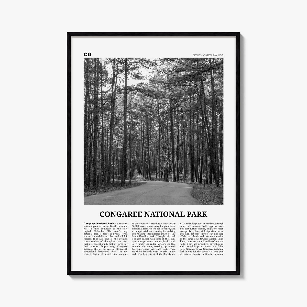 Congaree National Park black & white newspaper poster of South Carolina, USA – vertical wall art, unframed print shown in int