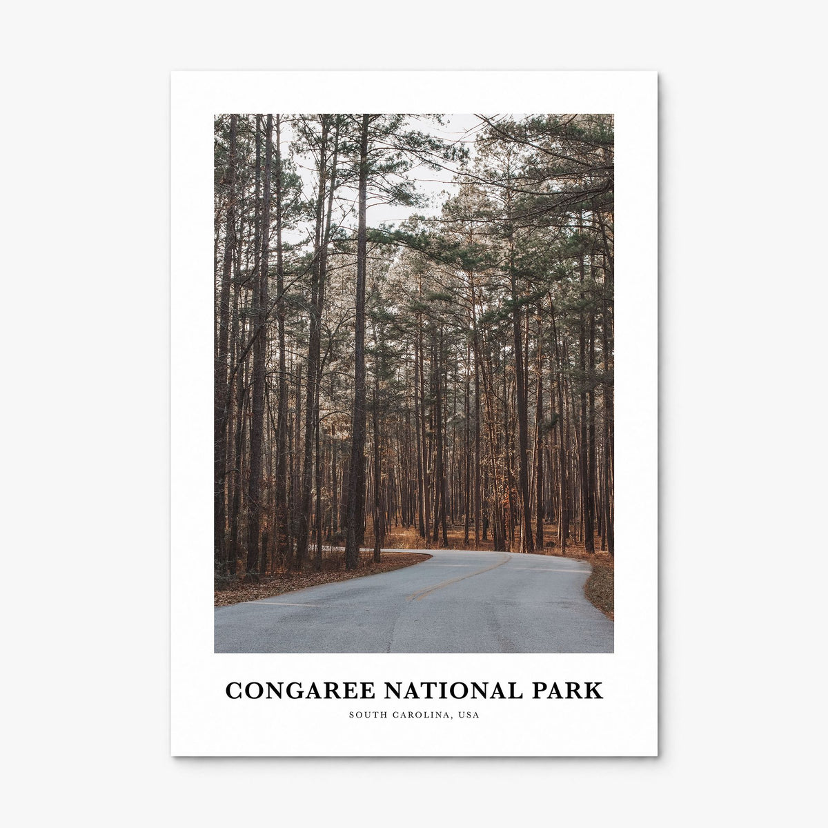 Congaree National Park Classic Poster, print only (unframed)