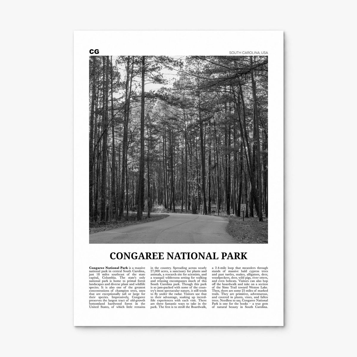 Congaree National Park Newspaper Poster, print only (unframed)