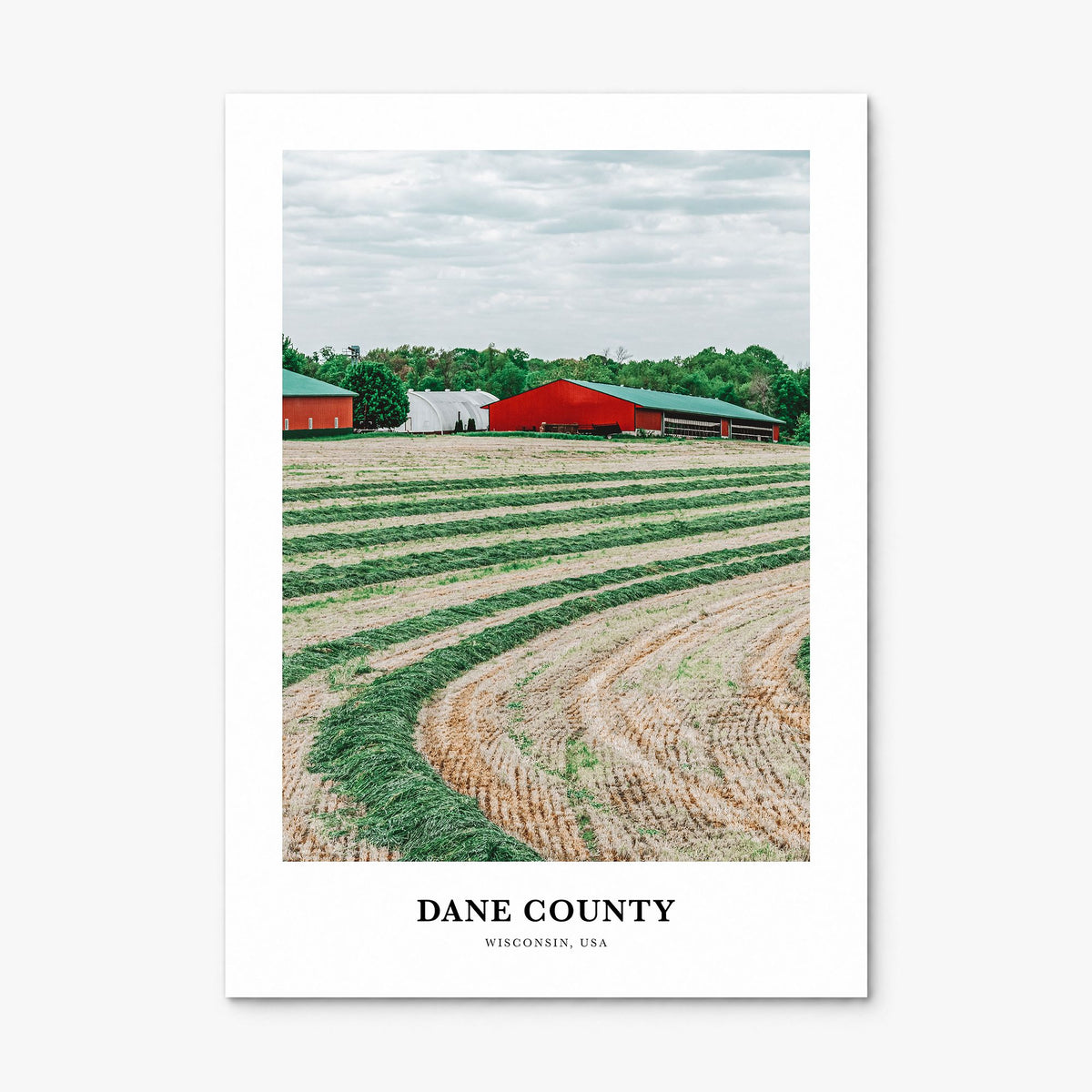Dane County Classic Poster, print only (unframed)