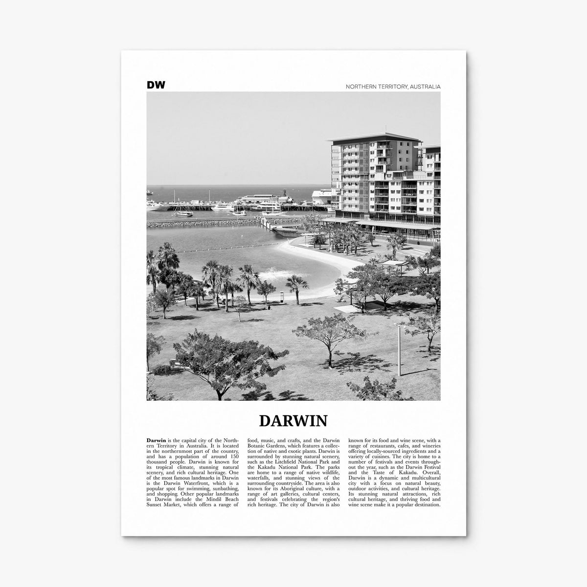 Darwin Newspaper Poster, print only (unframed)