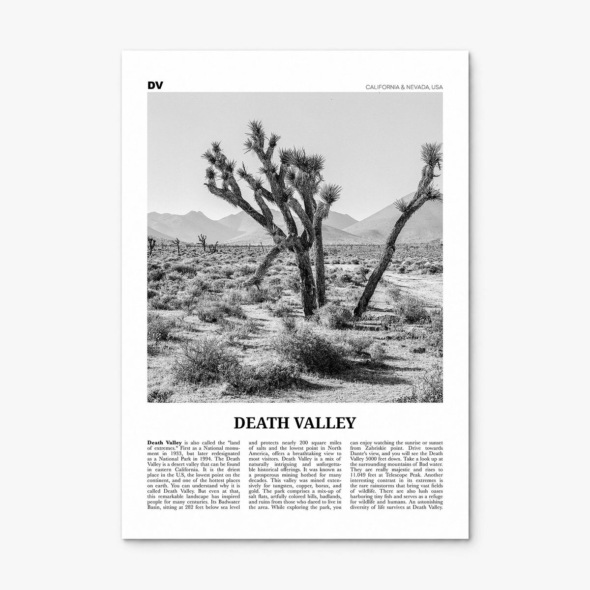 Death Valley, California & Nevada Newspaper No 1 Poster, print only (unframed)