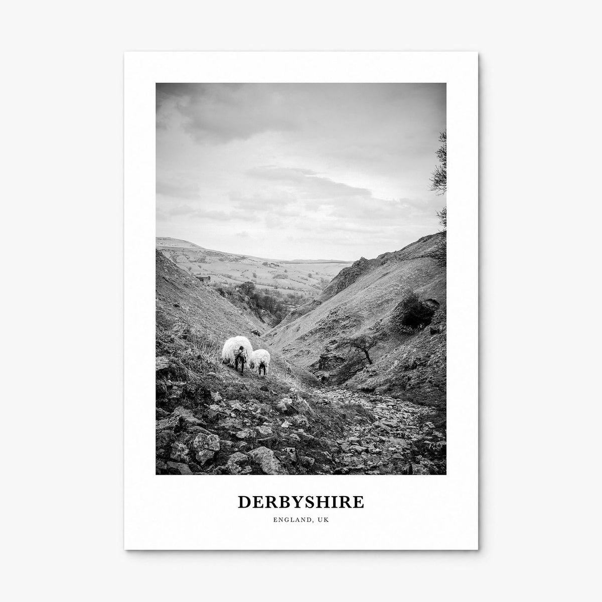 Derbyshire Classic Poster, print only (unframed)