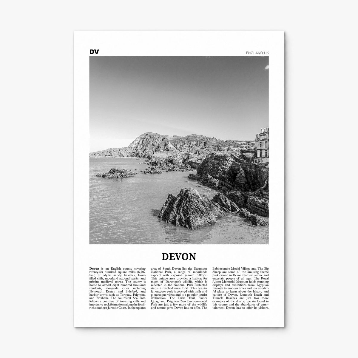 Devon Newspaper Poster, print only (unframed)