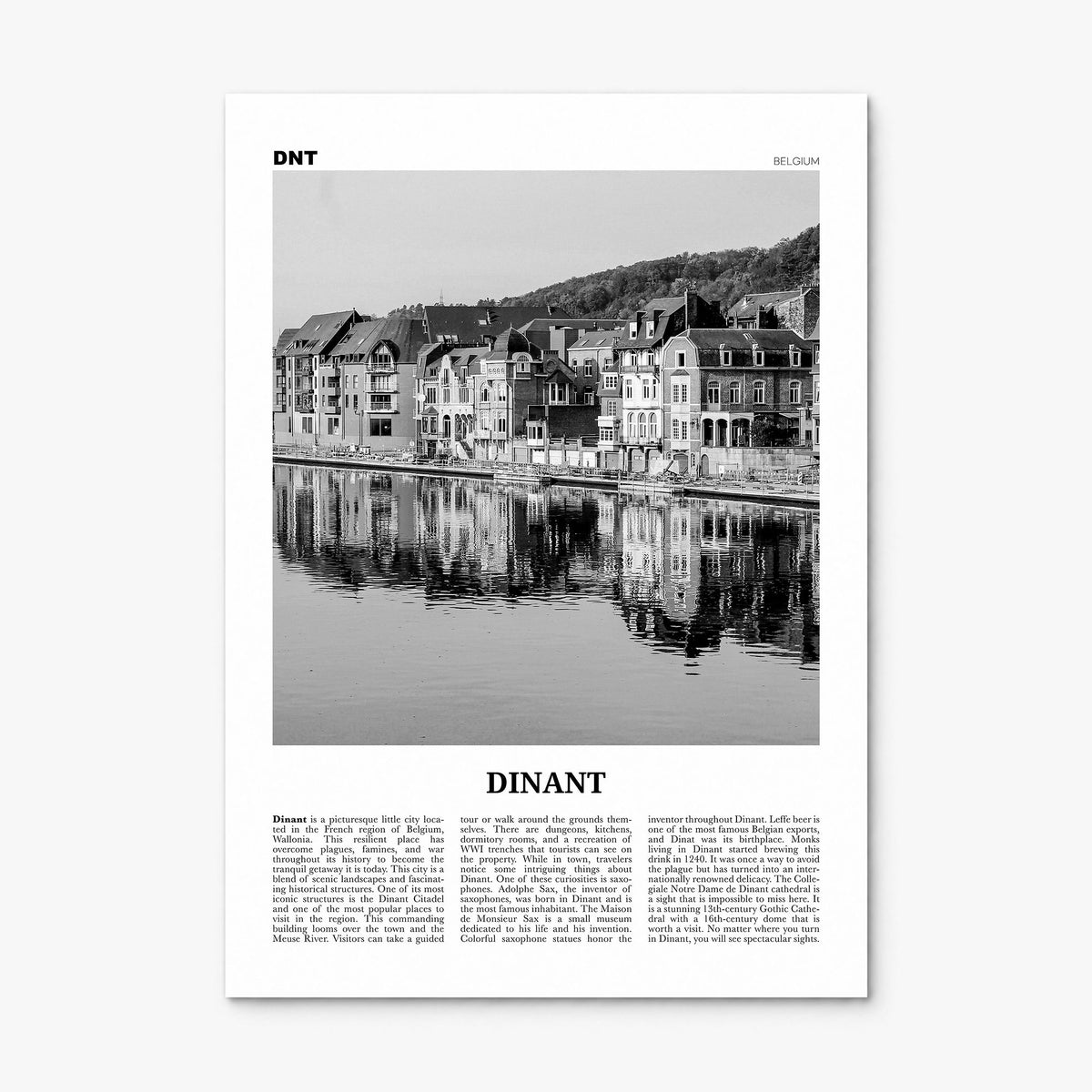 Dinant Newspaper Poster, print only (unframed)