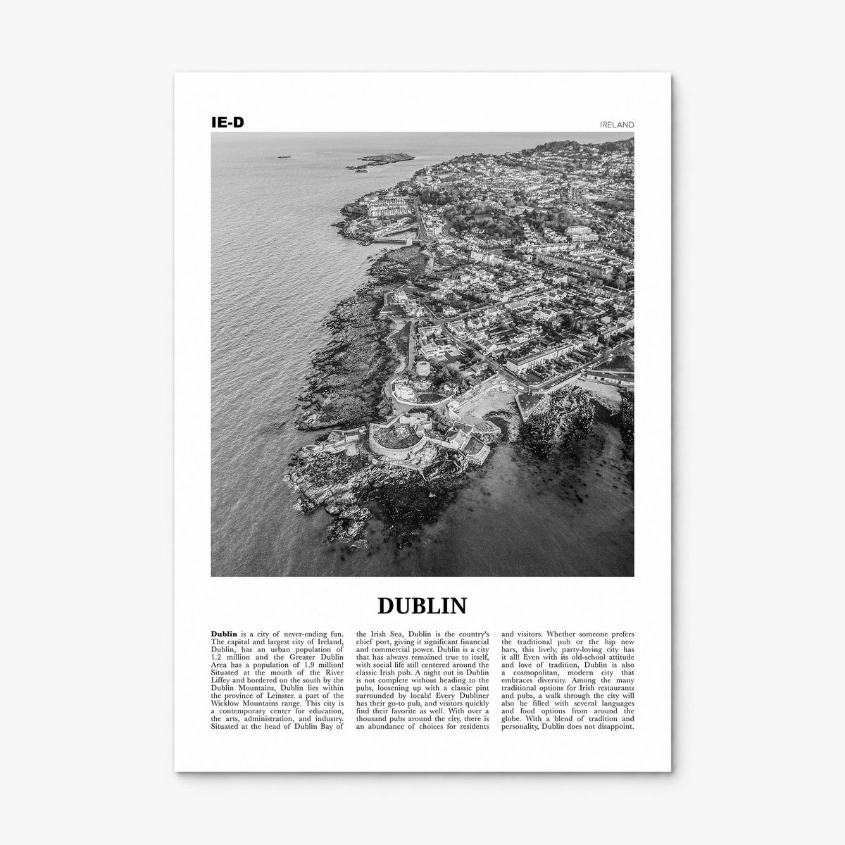 Dublin Newspaper No 3 Poster, print only (unframed)