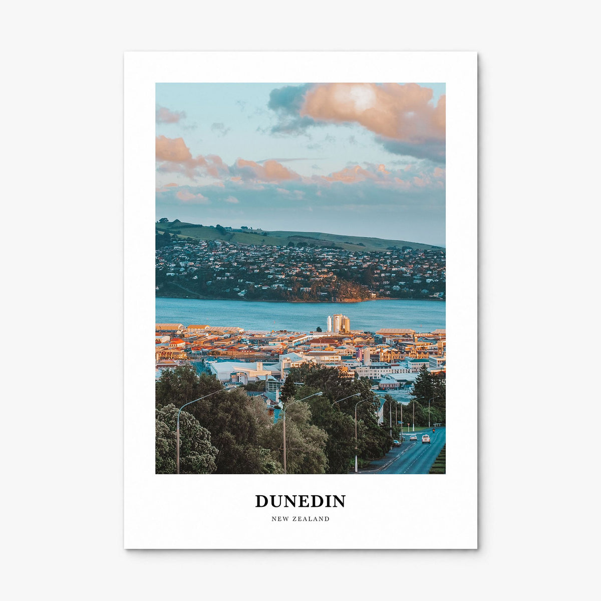 Dunedin Classic No 1 Poster, print only (unframed)