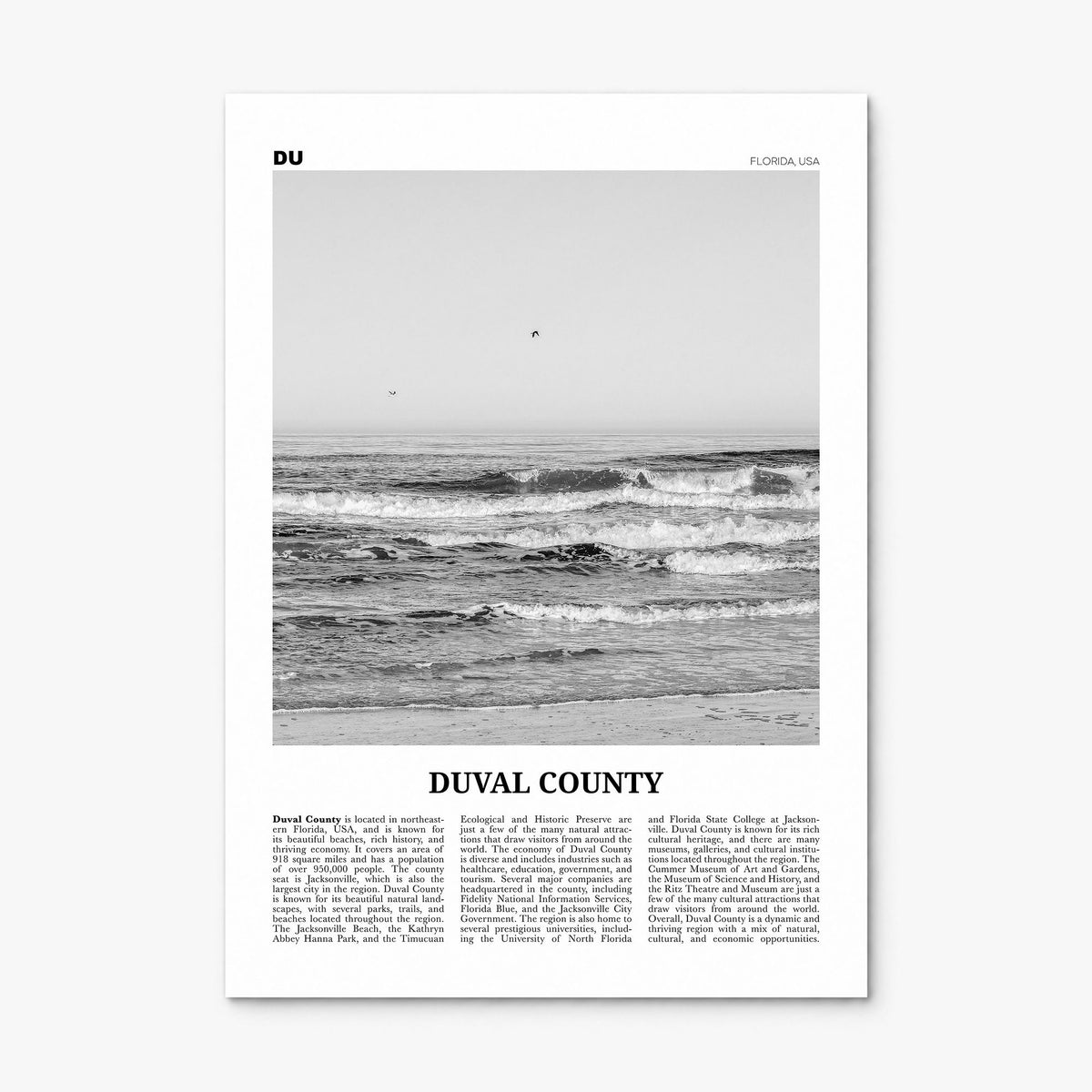 Duval County Newspaper Poster, print only (unframed)