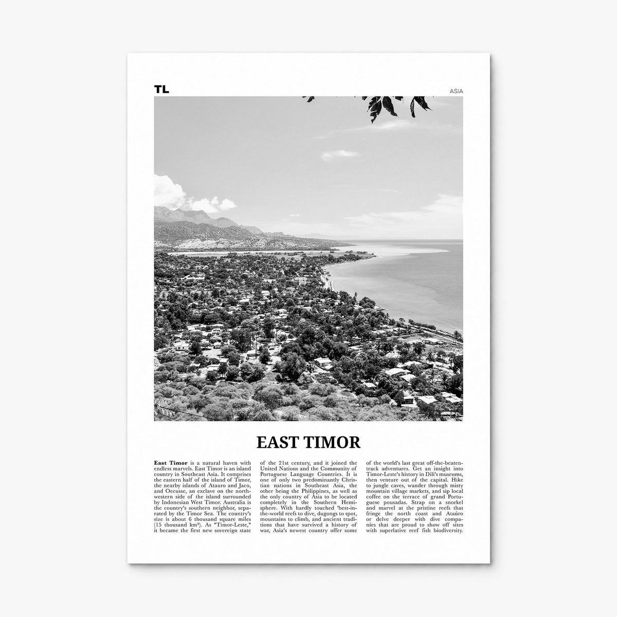 East Timor Newspaper Poster, print only (unframed)