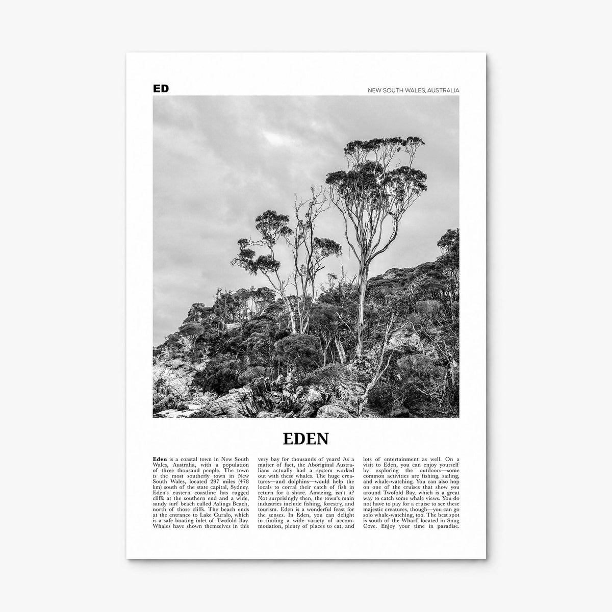 Eden Newspaper Poster, print only (unframed)