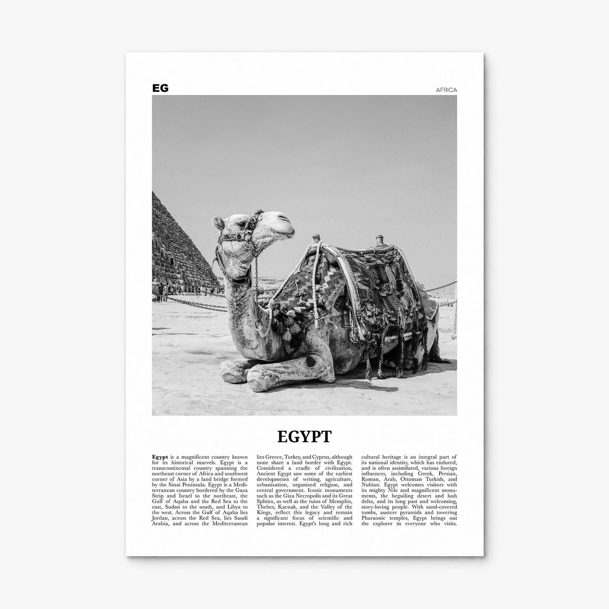 Egypt Newspaper No 2 Poster, print only (unframed)