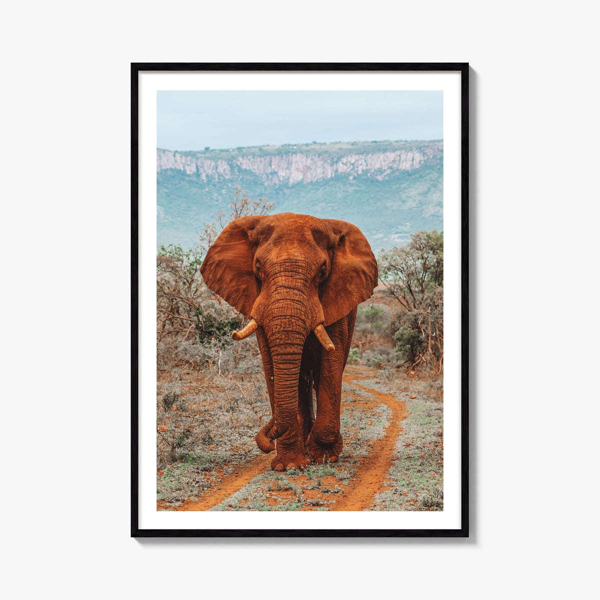 Elephant no. 4 colorful photo poster – vertical wall art, unframed print shown in interior mockup