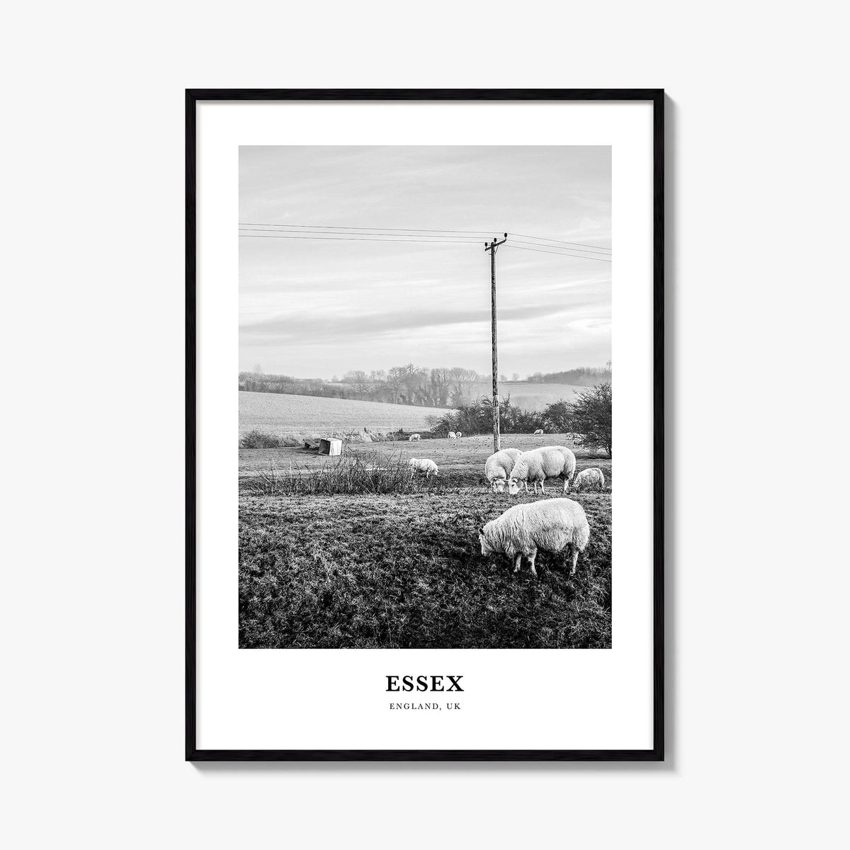 Essex black & white classic poster of Maryland, USA – vertical wall art, unframed print shown in interior mockup