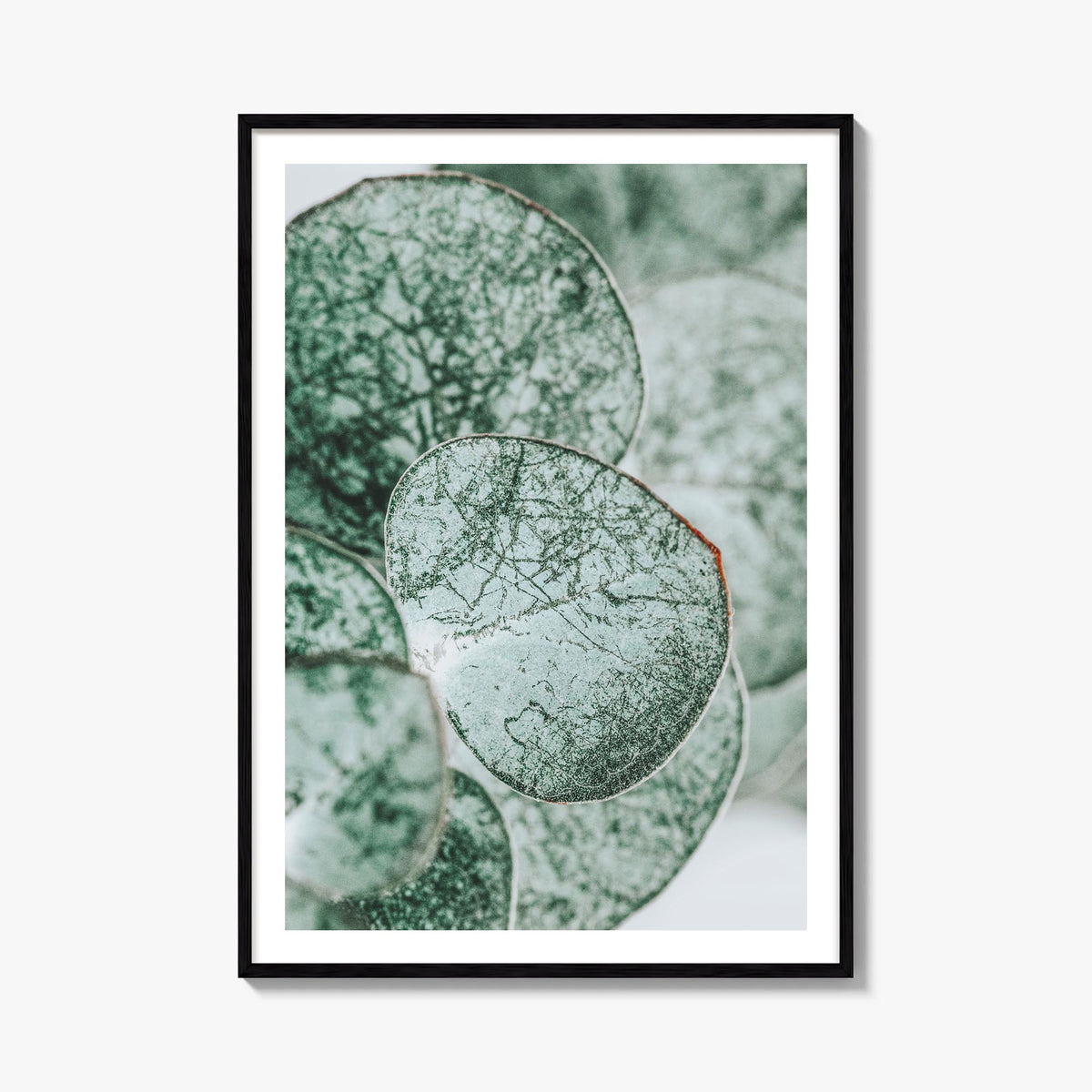 Eucalyptus Leaves colorful photo poster – vertical wall art, unframed print shown in interior mockup