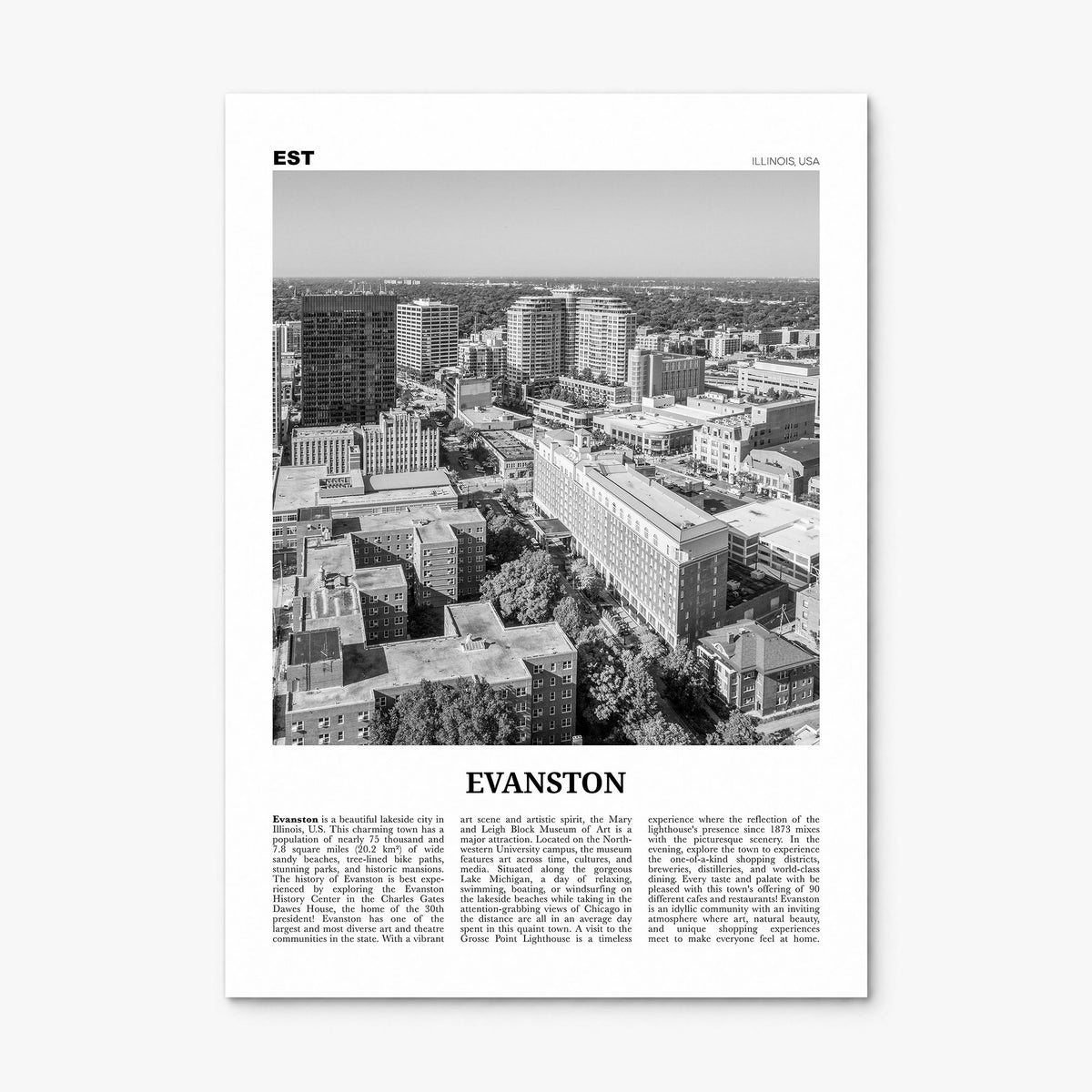 Evanston Newspaper Poster, print only (unframed)