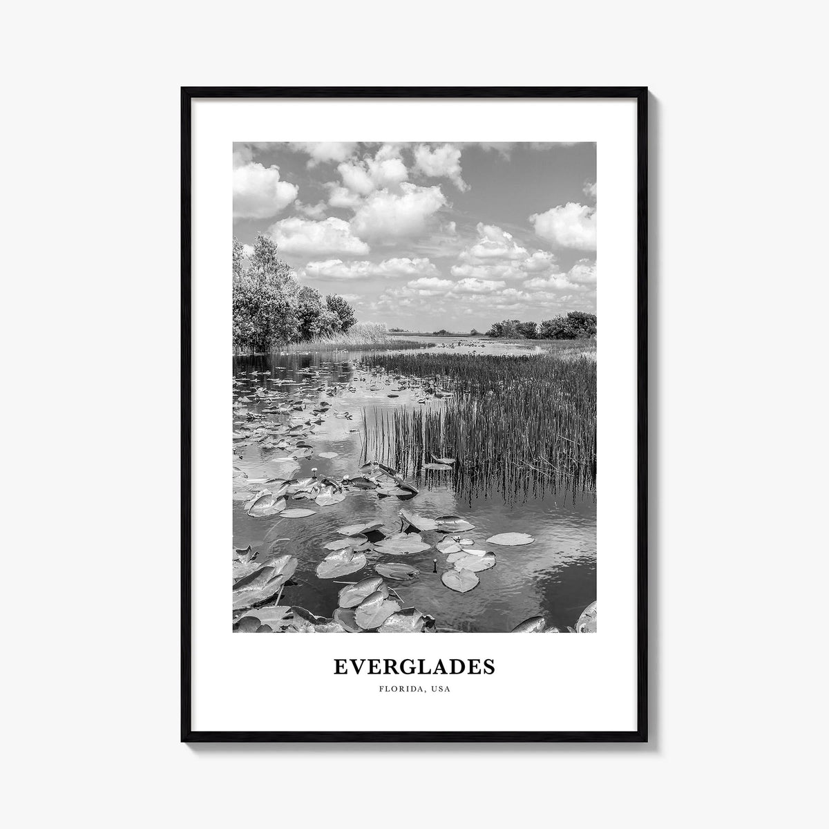 Everglades National Park black & white classic poster of Florida, USA – vertical wall art, unframed print shown in interior m