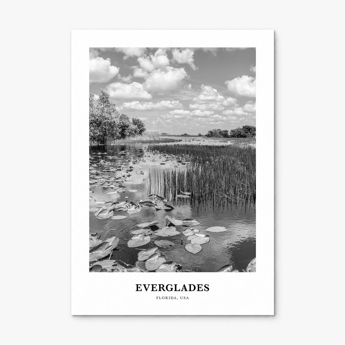 Everglades National Park Classic Poster, print only (unframed)