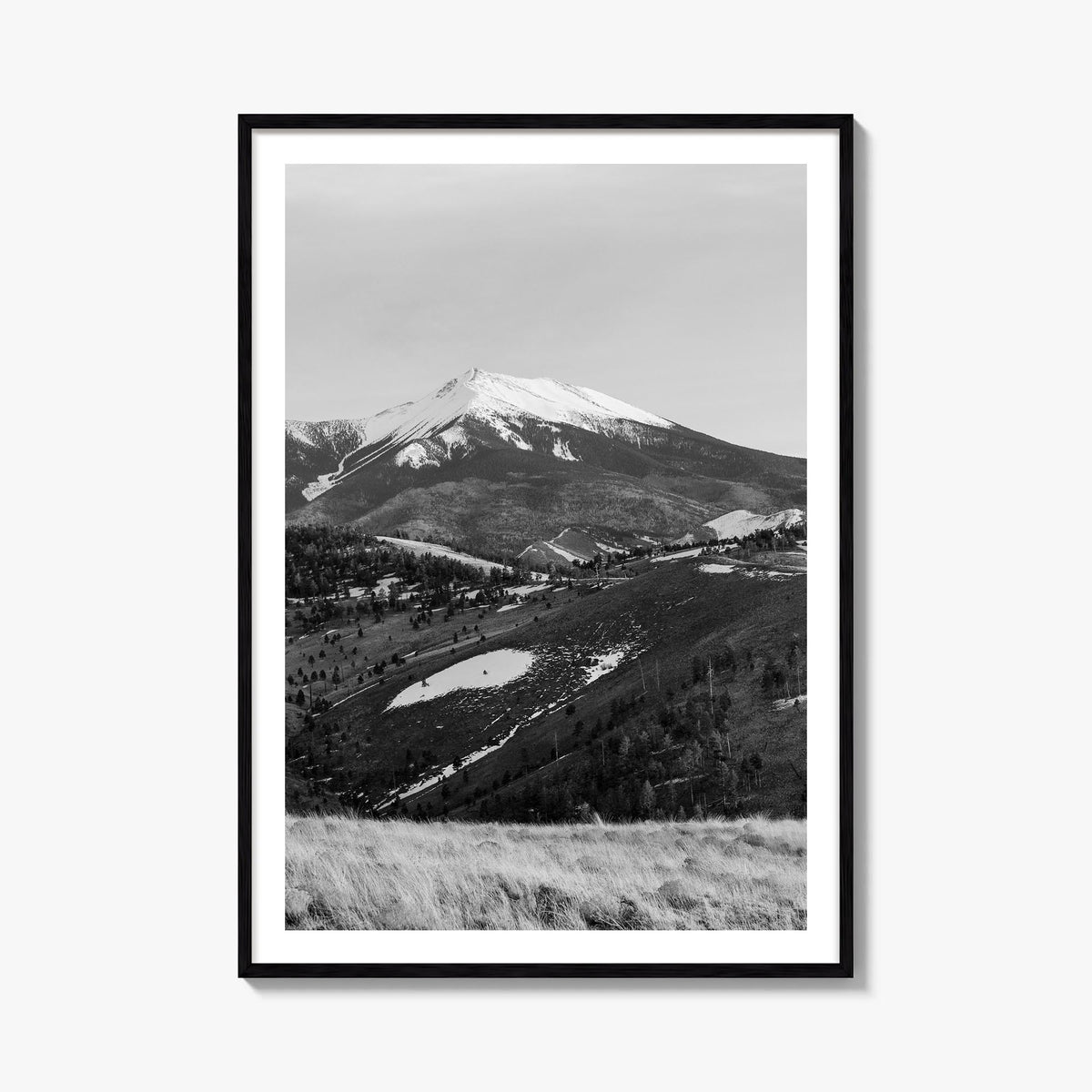 Flagstaff black & white photo poster of Arizona, USA – vertical wall art, unframed print shown in interior mockup