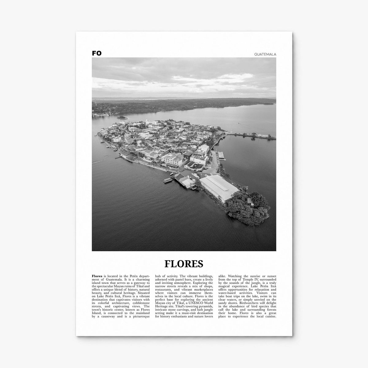 Flores Newspaper Poster, print only (unframed)