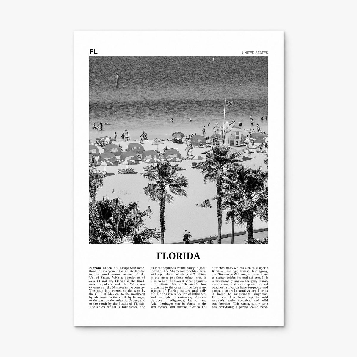 Florida Newspaper No 7 Poster, print only (unframed)