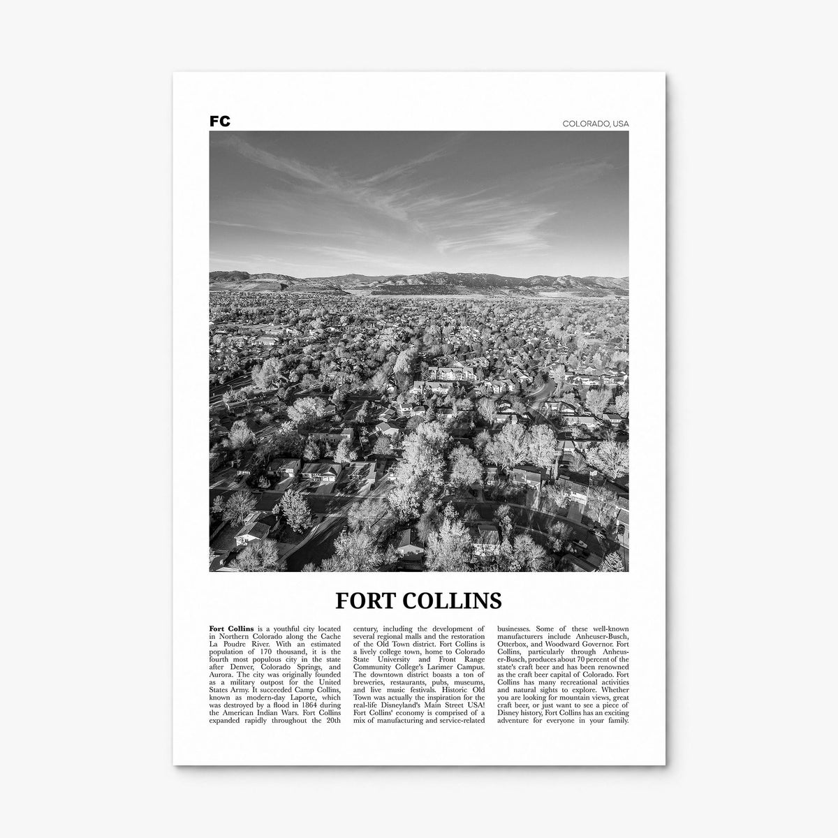 Fort Collins Newspaper Poster, print only (unframed)